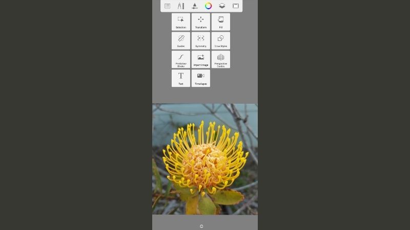 Image editing Tip